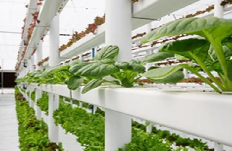 banner-blog-verticalfarm