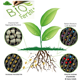 blog-image-biofertilizers2