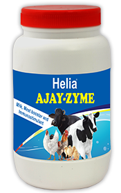 Ajay Zyme