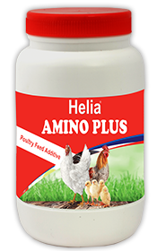 Amino Plus