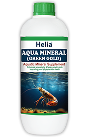 Aqua Mineral