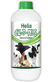 Cal-D-Plus