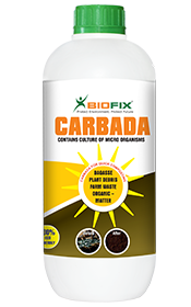 Carbada