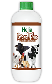 Livosol-Plus