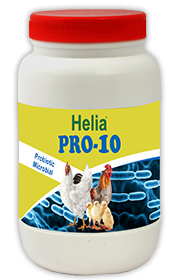 Pro-10