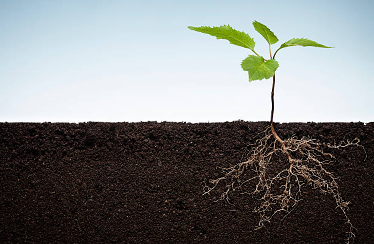 Soil Booster Kit Mobile Banner