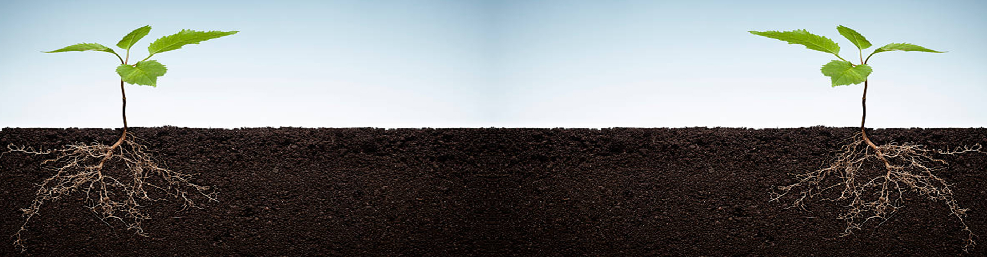 Soil Booster Kit Banner