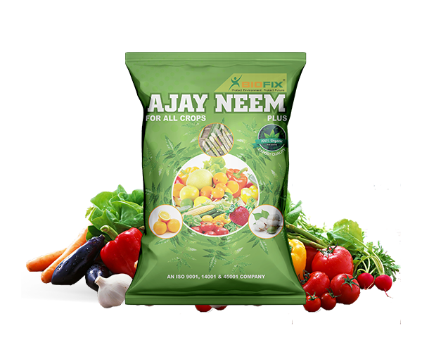 Ajay Neem Plus