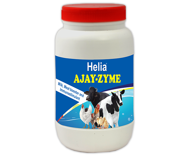 Ajay-Zyme