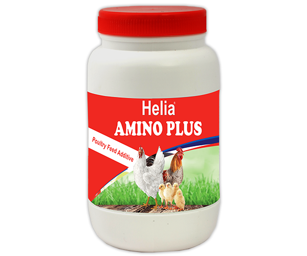 AMINO PLUS