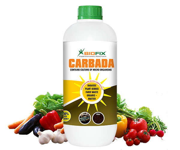 Carbada