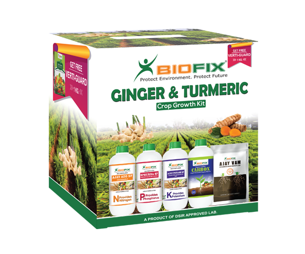 Ginger & Turmeric Crop Growth Kit