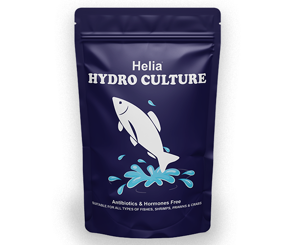 Hydro Culture