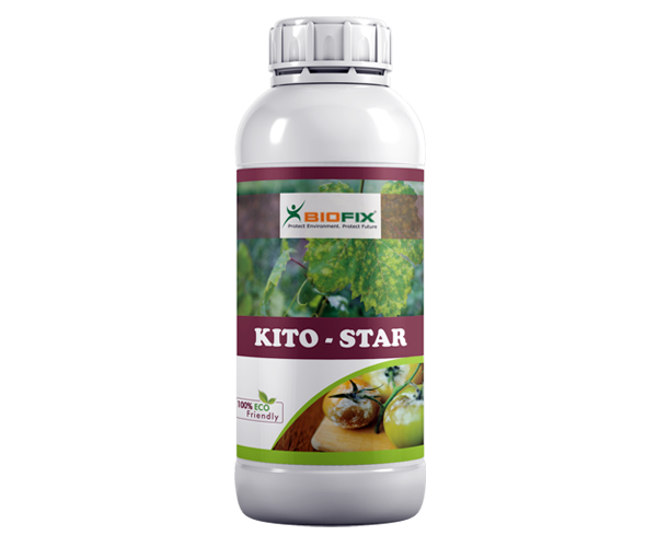 Kito Star