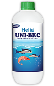 Uni BKC